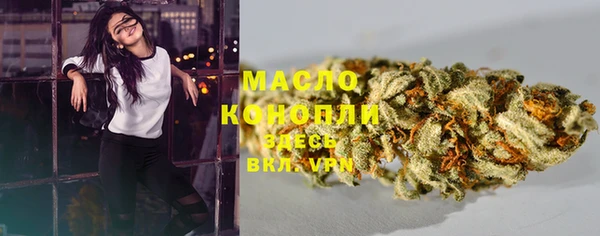 гидра Дмитров