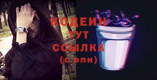 ПСИЛОЦИБИНОВЫЕ ГРИБЫ Дмитриев