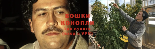 гидра Дмитров