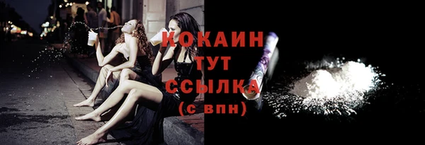 ПСИЛОЦИБИНОВЫЕ ГРИБЫ Дмитриев