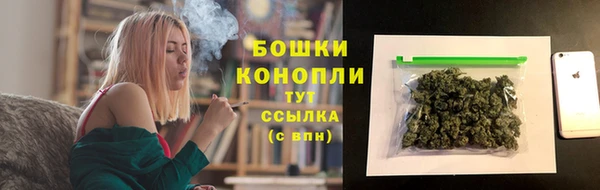 гидра Дмитров
