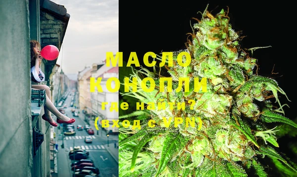 гидра Дмитров