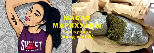 гидра Дмитров
