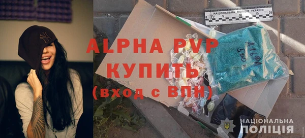 ПСИЛОЦИБИНОВЫЕ ГРИБЫ Дмитриев