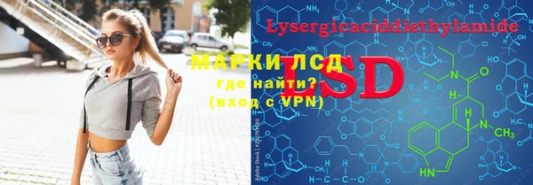 ПСИЛОЦИБИНОВЫЕ ГРИБЫ Дмитриев