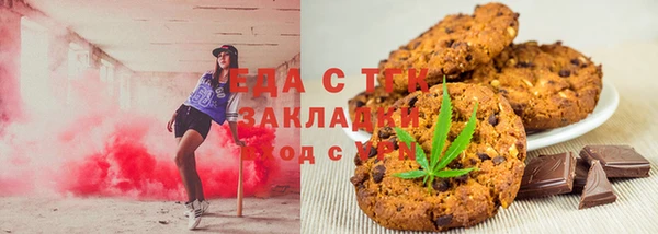 мдпв Елабуга