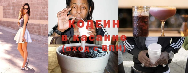 ПСИЛОЦИБИНОВЫЕ ГРИБЫ Дмитриев