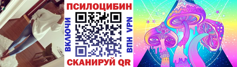 Купить  Октябрьский  Псилоцибиновые грибы Psilocybe 